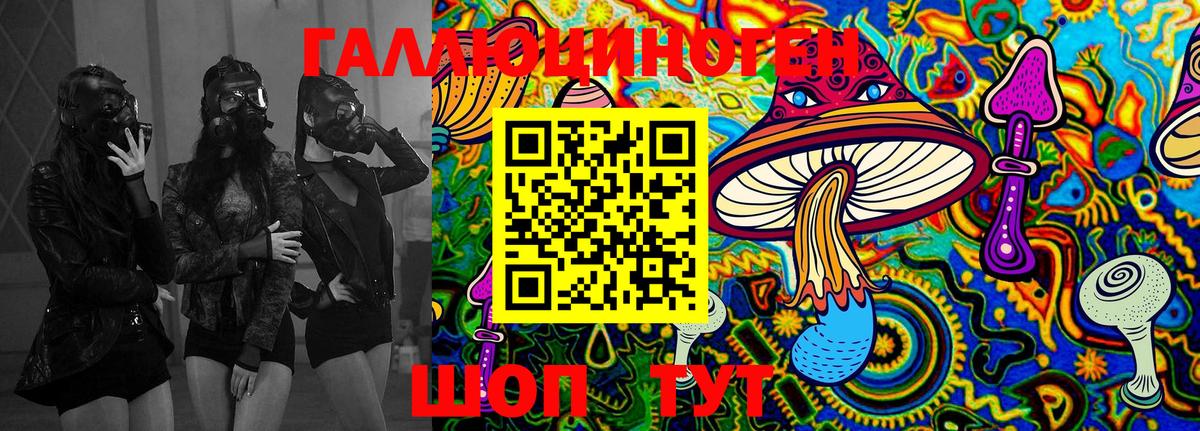 Галлюциногенные грибы Cubensis Горно-Алтайск