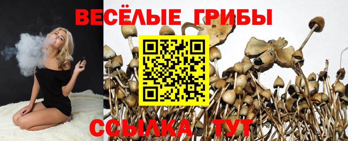 Галлюциногенные грибы прущие грибы  Вход с VPN  Горно-Алтайск 